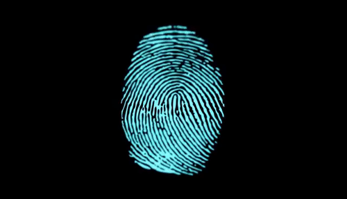 Biometric Secure Access
